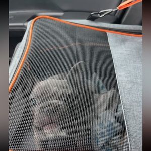 aiperro dog car seat